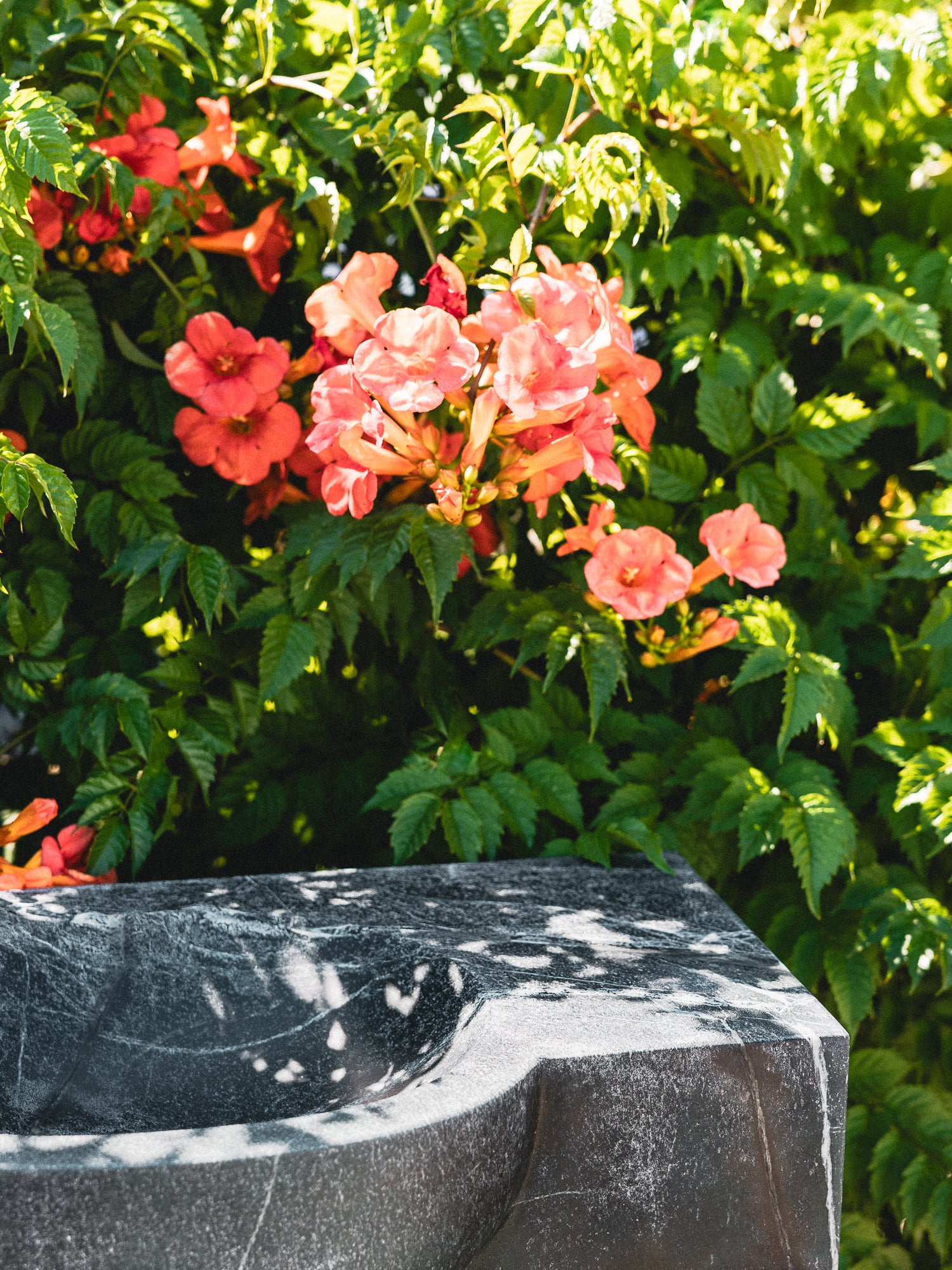 Soapstone Athena 30" - Image 3